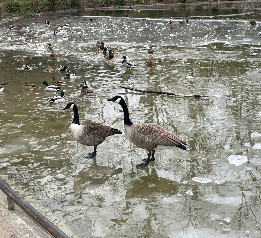 Lac de Saint-Mandé 3